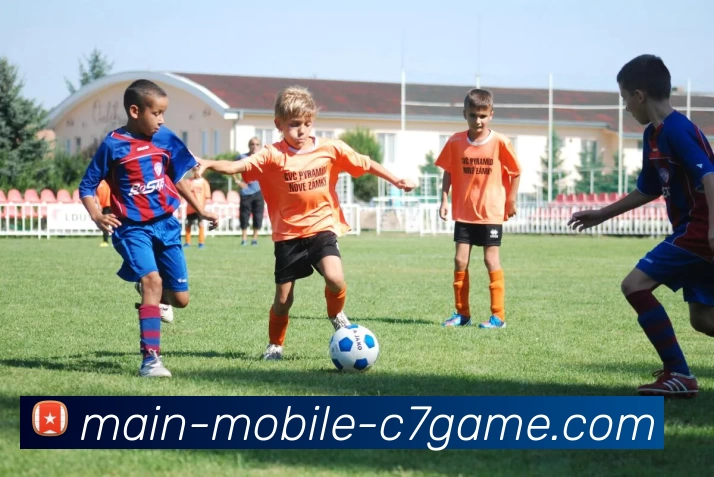 多媒体互动体验